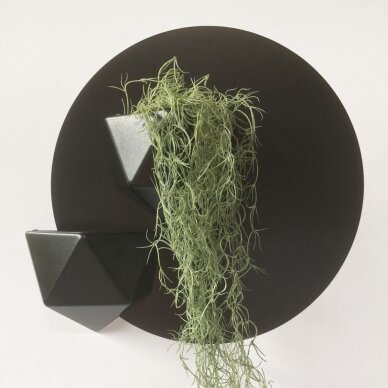 Magnetinis sieninis vazonas (juodas) augalams, pieštukams, kanceliarinėms prekėms,.. 4