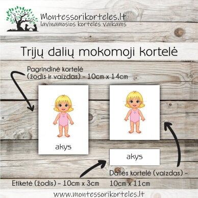 Montessori lavinamosios trijų dalių kortelės kūno dalys (PDF) 1