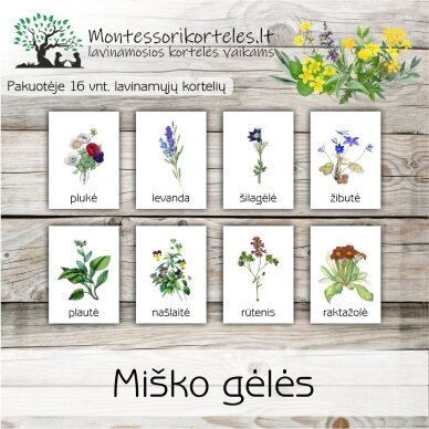 Montessori lavinamosios trijų dalių kortelės miško gėlės (PDF)