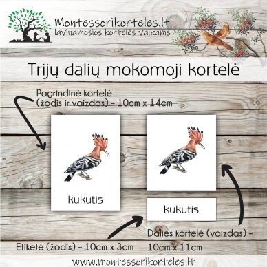 Montessori lavinamosios trijų dalių kortelės paukščiai (PDF) 1