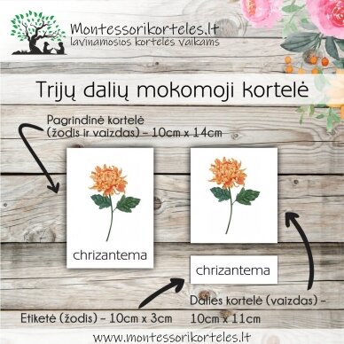 Trijų dalių „Montessori“ lavinamųjų kortelių rinkinys „Sodo gėlės“ PDF 1