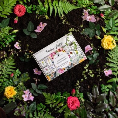 Trijų dalių „Montessori“ lavinamųjų kortelių rinkinys „Sodo gėlės“ PDF 5